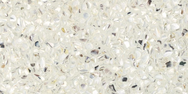 Ostrea Huître Naturel