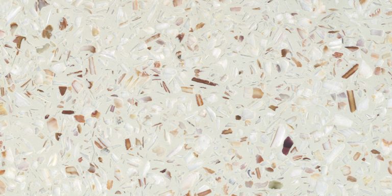 Ostrea Saint-Jacques Naturel