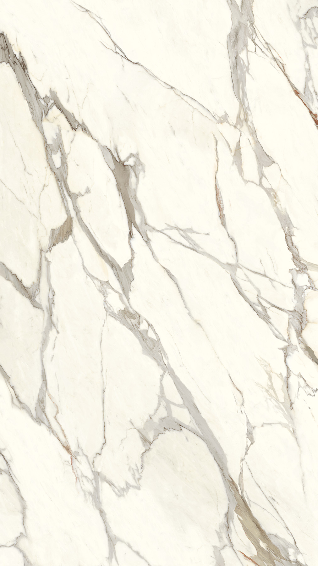 Optimum Calacatta Gold