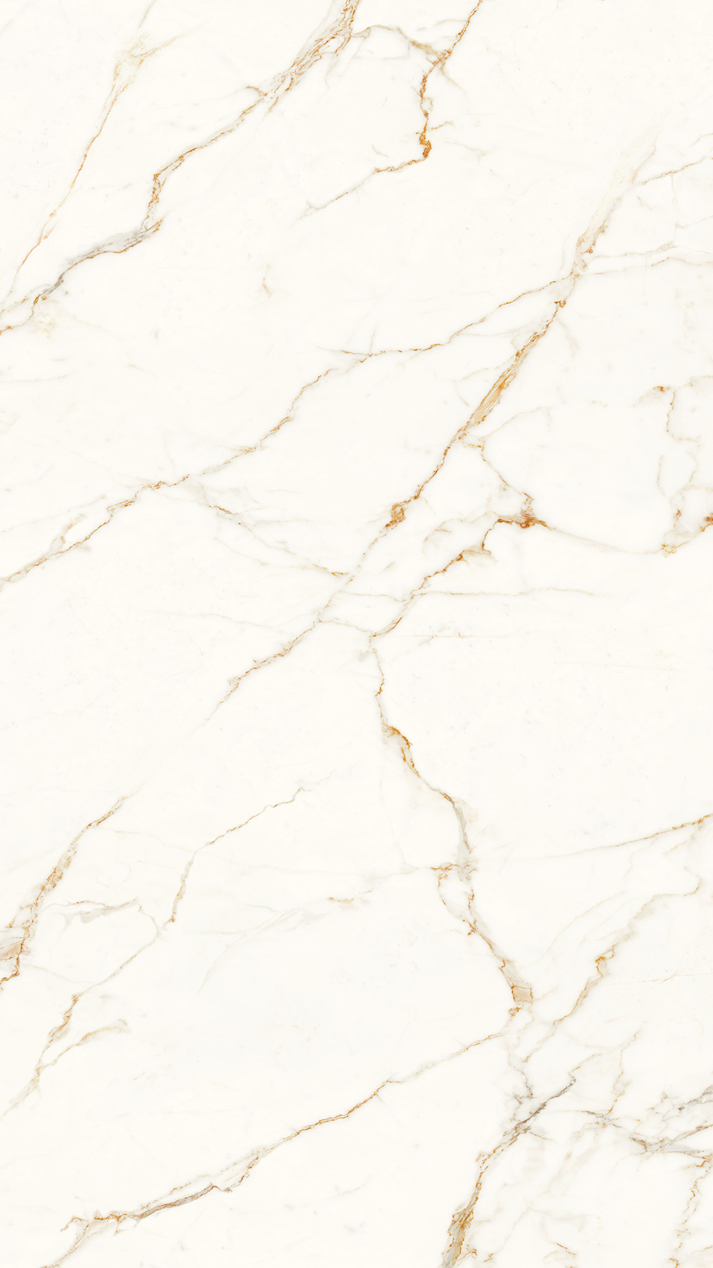 Optimum Calacatta Venere